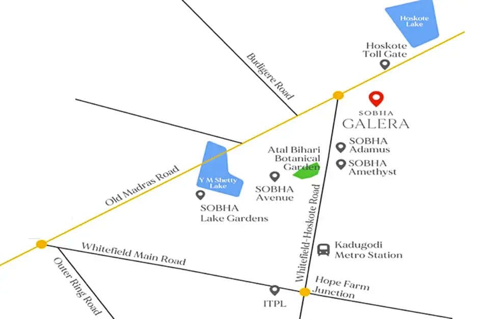 WhatsApp Image 2026-02-21 at 3.57.50 PM