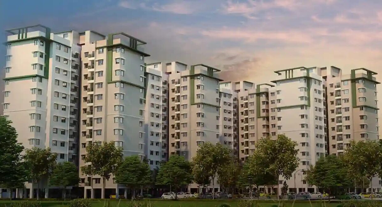 WhatsApp Image 2026-02-22 at 12.57.56 PM (2)