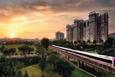 WhatsApp Image 2026-02-22 at 3.24.49 PM (1)