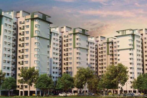 WhatsApp Image 2026-02-22 at 3.24.49 PM