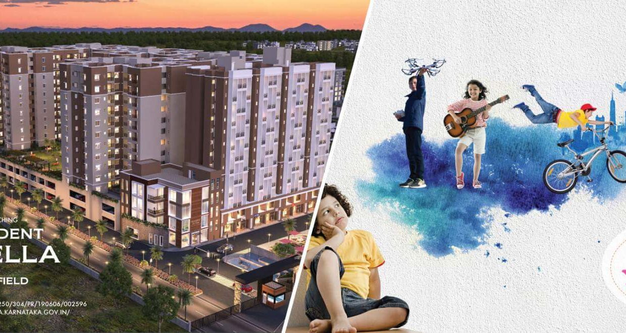 WhatsApp Image 2026-02-22 at 4.05.32 PM (2)