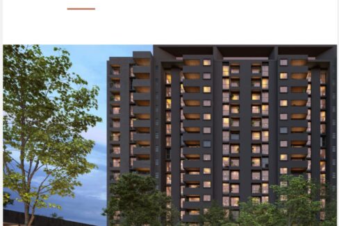 WhatsApp Image 2026-02-23 at 3.29.11 PM (3)