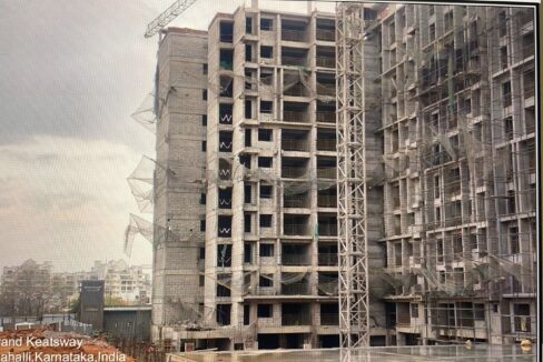 WhatsApp Image 2026-02-24 at 12.00.47 PM