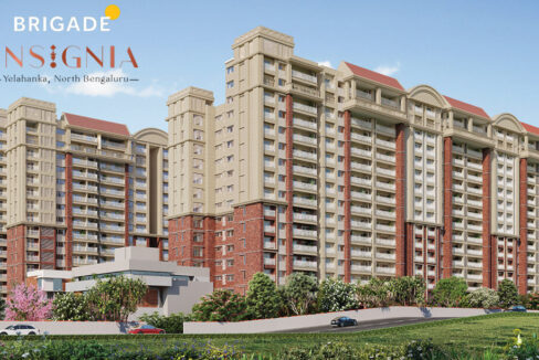 WhatsApp Image 2026-02-24 at 3.19.26 PM