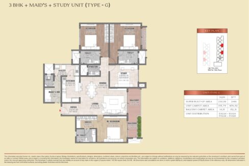 WhatsApp Image 2026-02-24 at 3.19.27 PM (1)