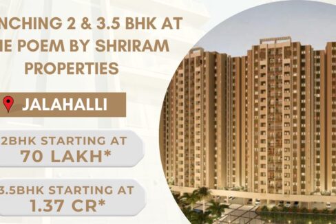 WhatsApp Image 2026-02-24 at 4.29.38 PM (2)