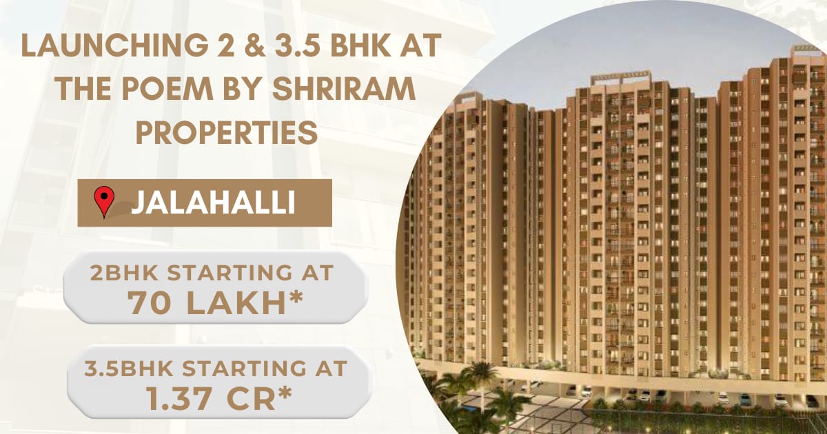 WhatsApp Image 2026-02-24 at 4.29.38 PM (2)