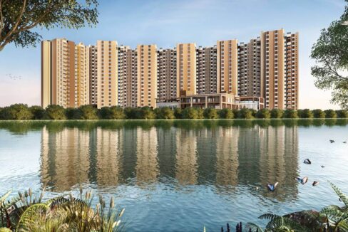 WhatsApp Image 2026-02-24 at 4.29.40 PM (1)