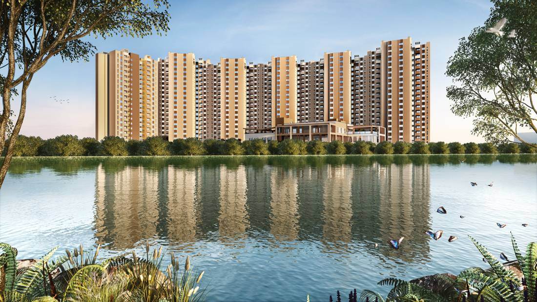 WhatsApp Image 2026-02-24 at 4.29.40 PM (1)