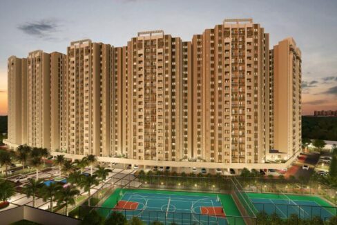 WhatsApp Image 2026-02-24 at 4.29.40 PM