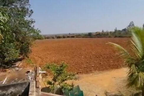 WhatsApp Image 2026-02-25 at 11.31.32 AM (1)