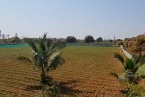 WhatsApp Image 2026-02-25 at 11.31.32 AM (2)