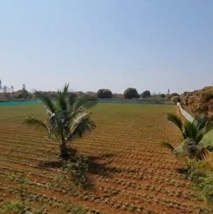 WhatsApp Image 2026-02-25 at 11.31.32 AM (2)