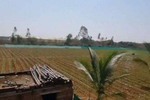 WhatsApp Image 2026-02-25 at 11.31.32 AM