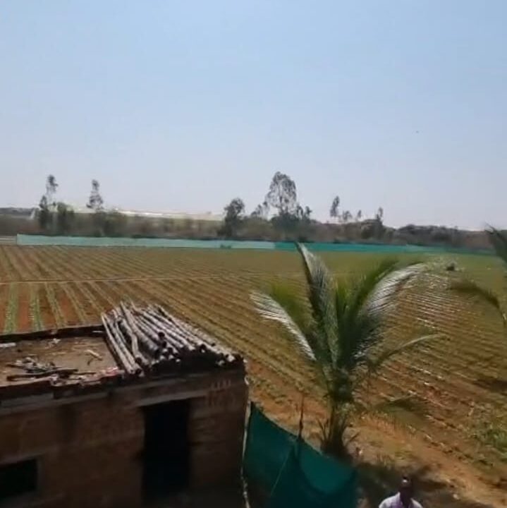 WhatsApp Image 2026-02-25 at 11.31.32 AM