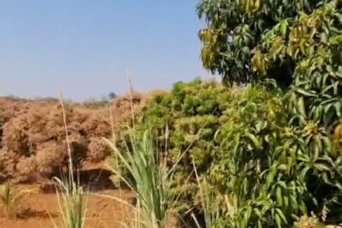 WhatsApp Image 2026-02-25 at 11.31.33 AM