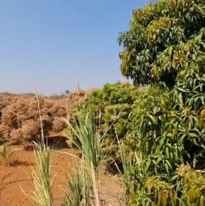 WhatsApp Image 2026-02-25 at 11.31.33 AM