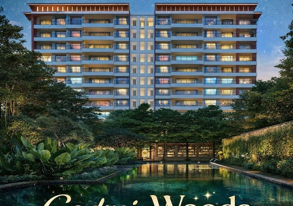 WhatsApp Image 2026-02-25 at 2.30.28 PM