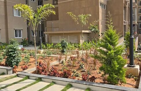 WhatsApp Image 2026-02-25 at 2.41.56 PM