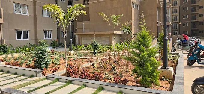 WhatsApp Image 2026-02-25 at 2.41.56 PM