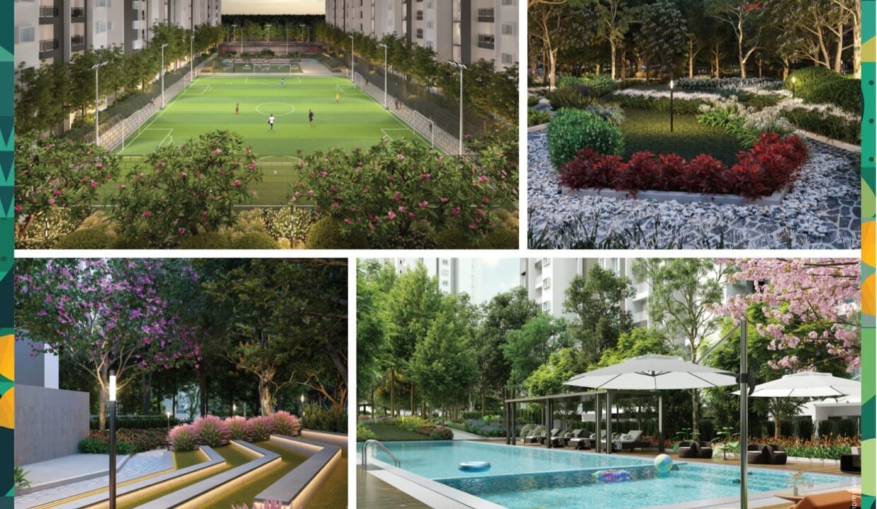 WhatsApp Image 2026-02-26 at 12.31.29 PM (1)