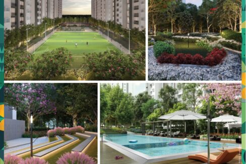 WhatsApp Image 2026-02-26 at 12.31.29 PM (1)