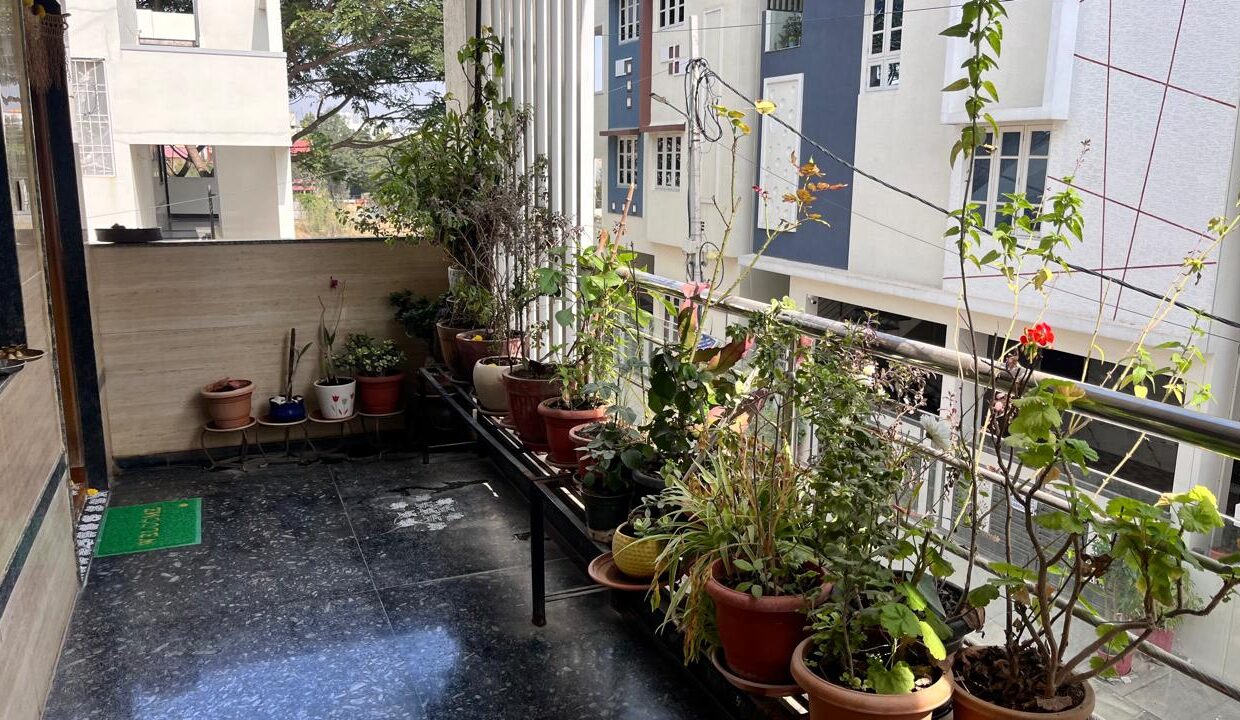 c0241e10-1d55-48dd-9f08-ca34b3717eb3