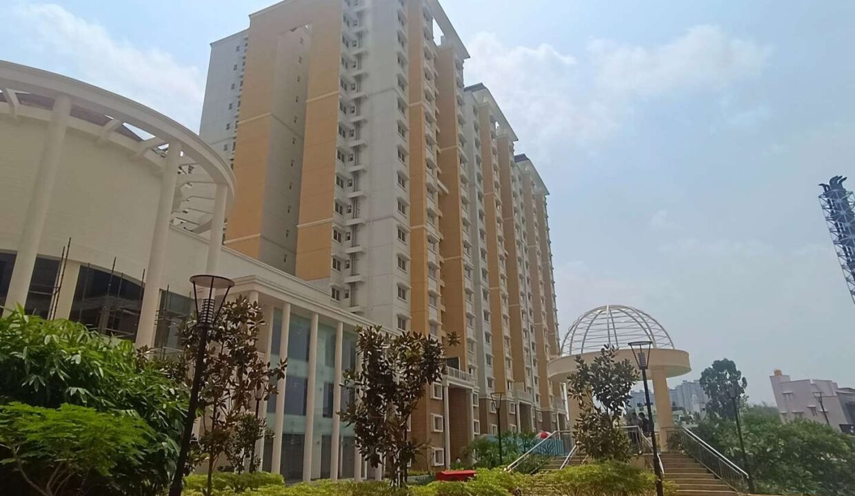 wmremove-transformed