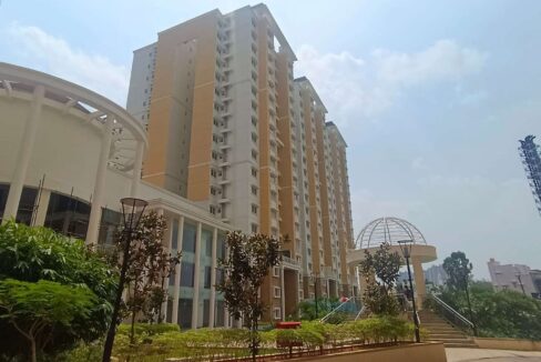 wmremove-transformed