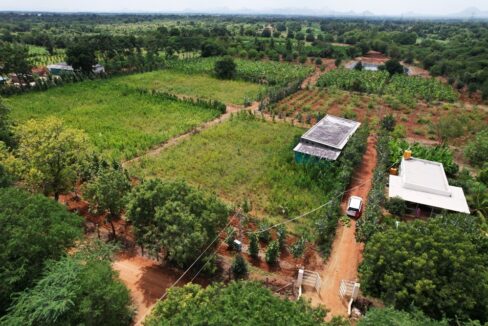 147b6335-72da-4906-b883-639aea4cd0be