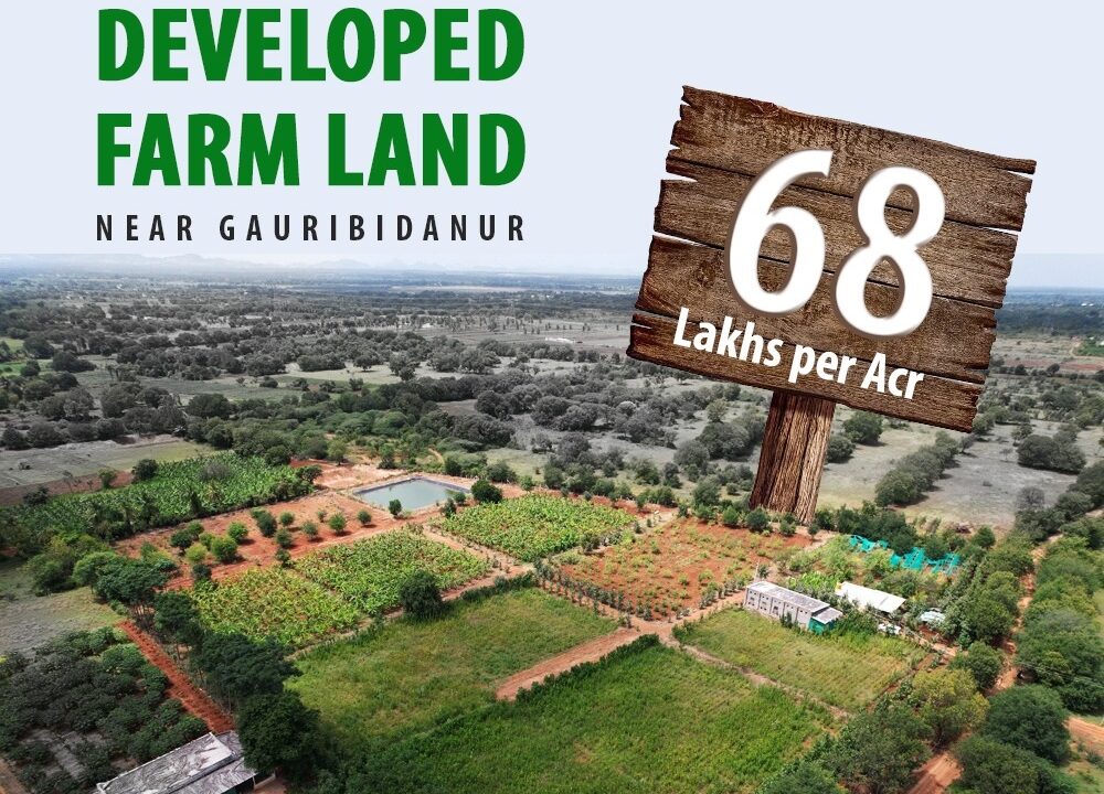 18f29b8f-2635-4163-b085-8b92ddf69735