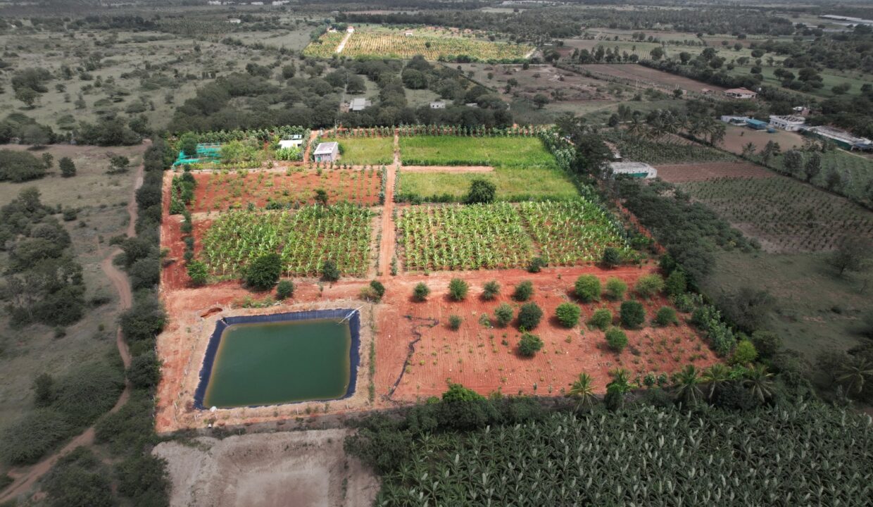 1c4e1c83-e277-4430-bbf2-4083277838f9