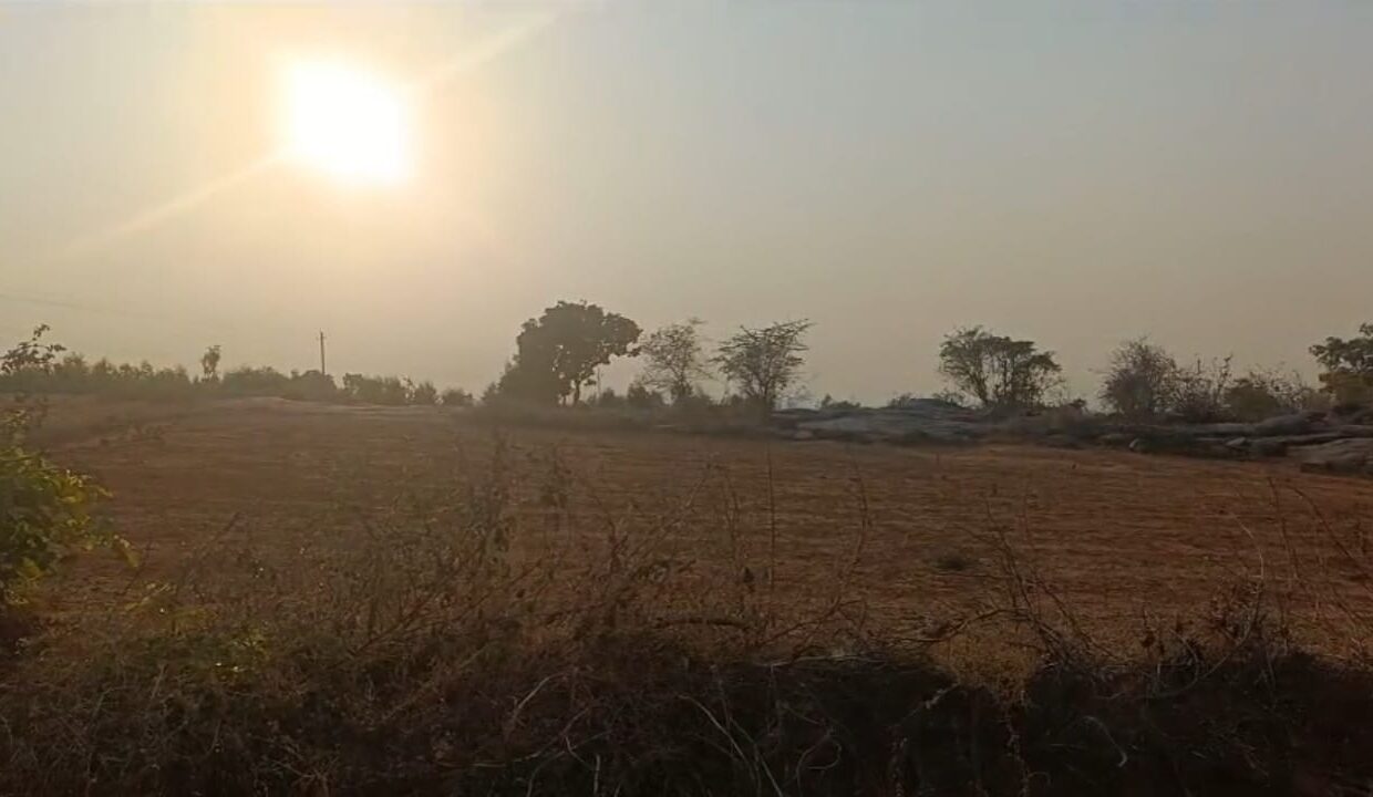 21815fb3-2014-431e-8588-a62528f94472