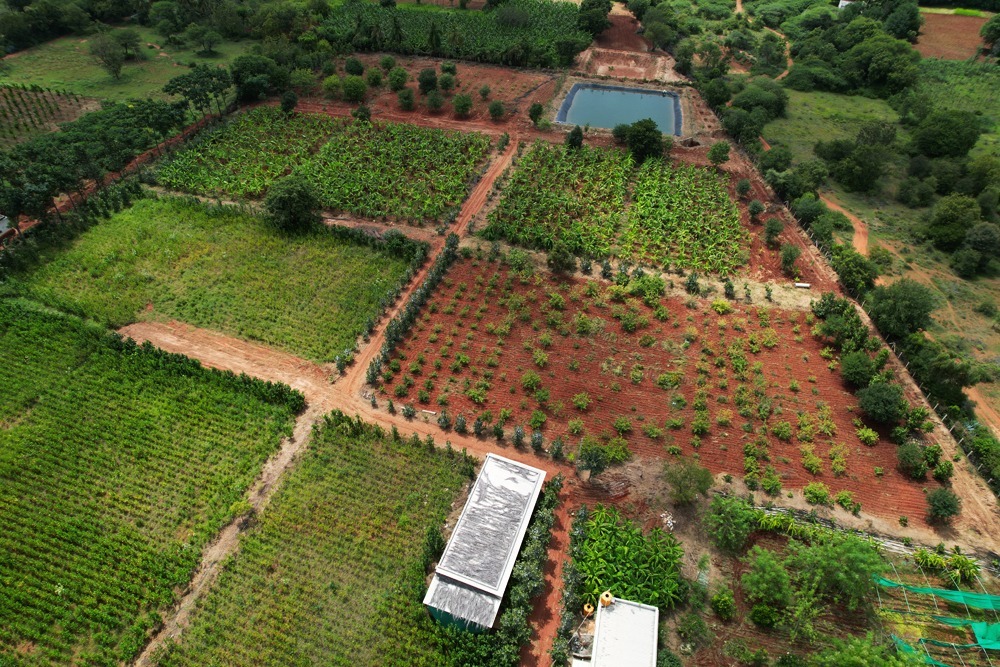 5d7b1034-f4a8-4cc7-a745-f68f10a692d5