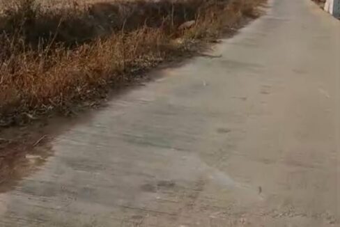 65a9e21f-2892-44a1-8fb4-7286f0d717c2