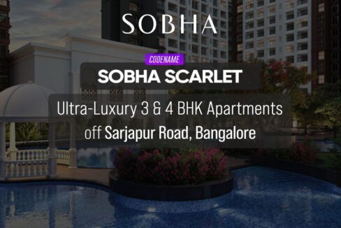 WhatsApp Image 2026-03-01 at 2.52.03 PM (3)