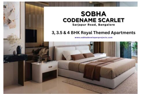 WhatsApp Image 2026-03-01 at 2.52.07 PM (1)