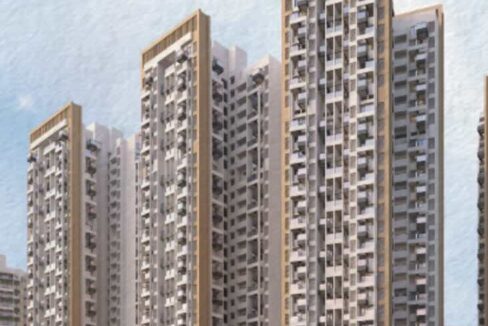 WhatsApp Image 2026-03-01 at 3.48.53 PM (2)