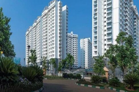 WhatsApp Image 2026-03-01 at 3.49.10 PM (1)