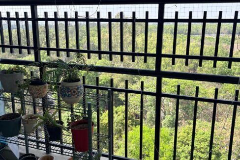 WhatsApp Image 2026-03-08 at 1.30.21 PM (3)