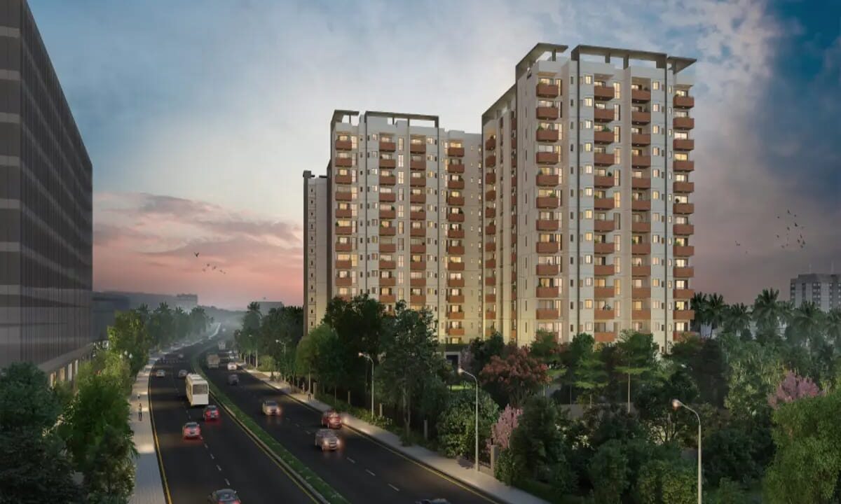 WhatsApp Image 2026-03-08 at 1.36.42 PM