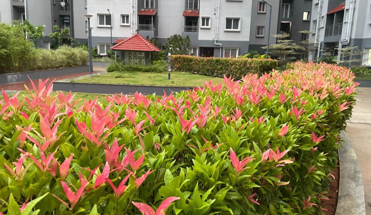 WhatsApp Image 2026-03-08 at 4.32.28 PM (1)