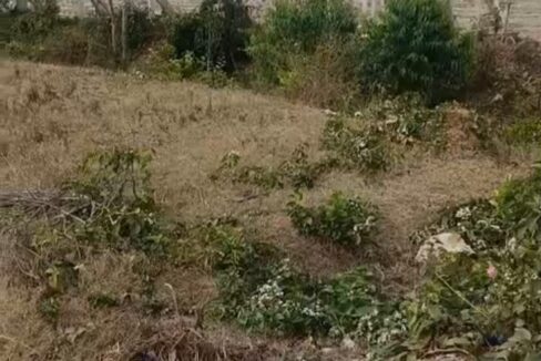 WhatsApp Image 2026-03-10 at 2.13.55 PM (1)