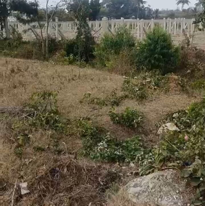 WhatsApp Image 2026-03-10 at 2.13.55 PM (1)