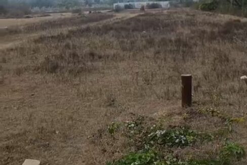 WhatsApp Image 2026-03-10 at 2.13.55 PM (2)