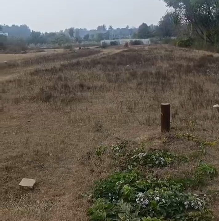 WhatsApp Image 2026-03-10 at 2.13.55 PM (2)