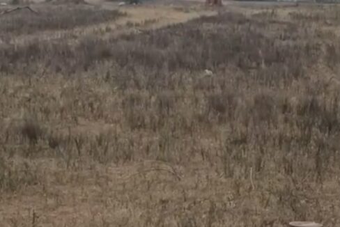 WhatsApp Image 2026-03-10 at 2.13.55 PM