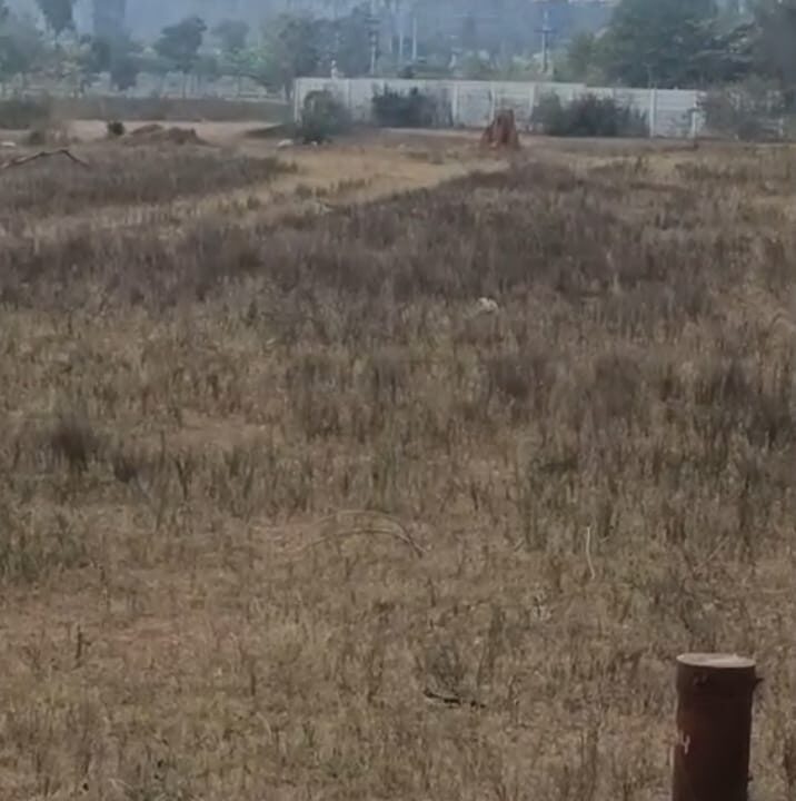 WhatsApp Image 2026-03-10 at 2.13.55 PM