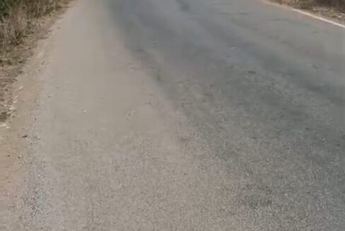 WhatsApp Image 2026-03-10 at 2.13.56 PM (1)