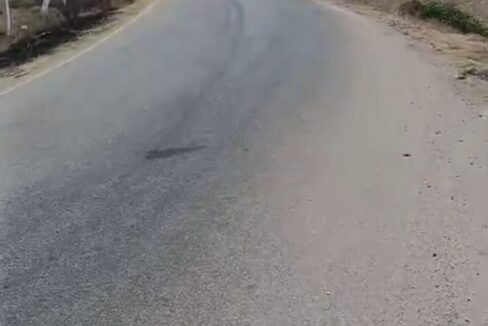 WhatsApp Image 2026-03-10 at 2.13.56 PM